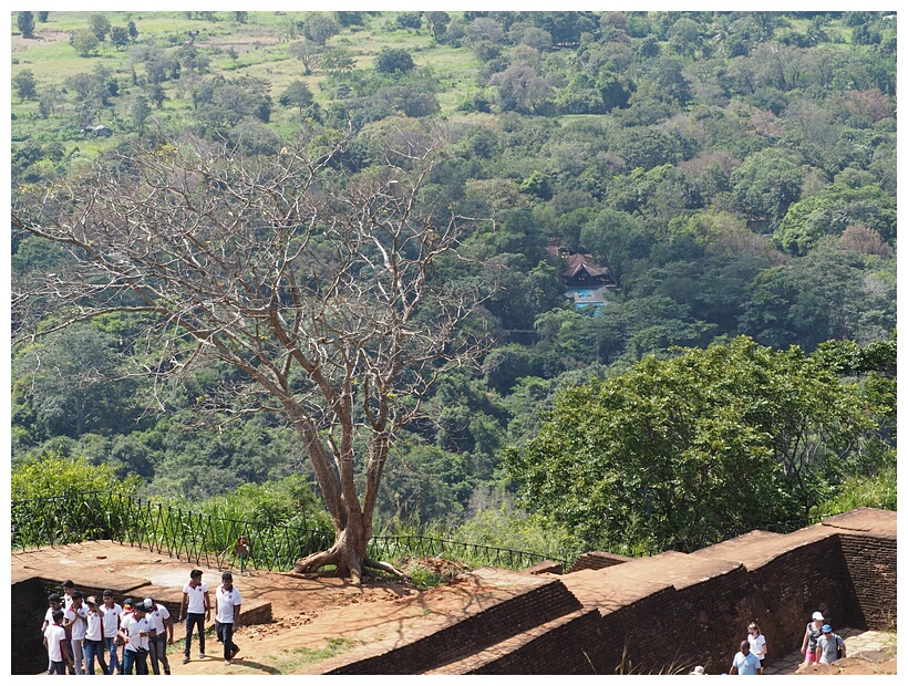 Sigiriya Rock