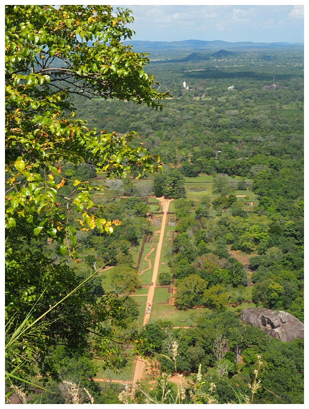 View from the Top