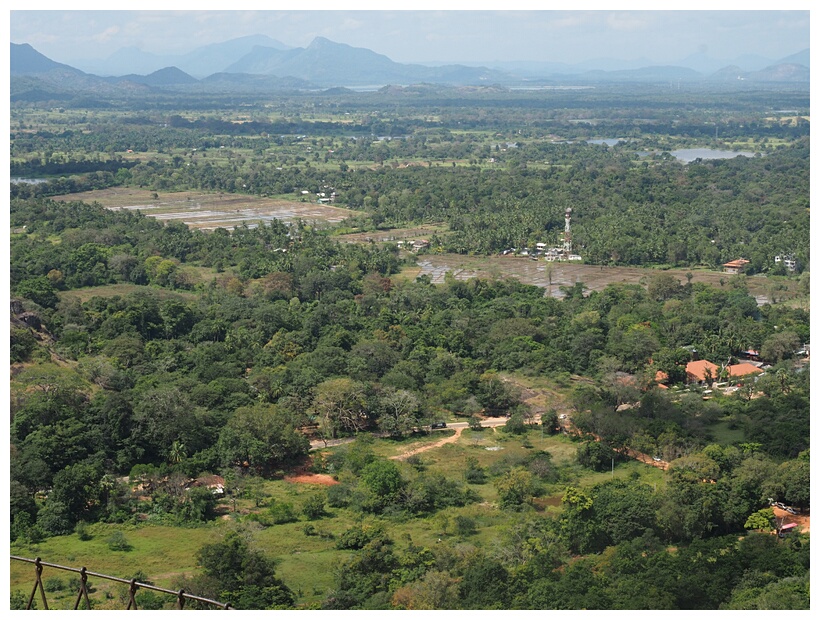 Landscape View