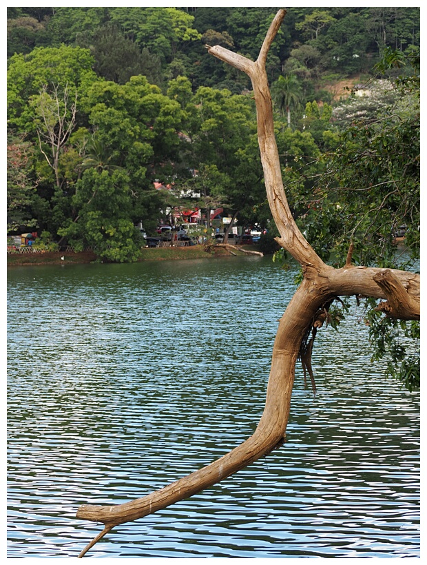 Kandy Lake