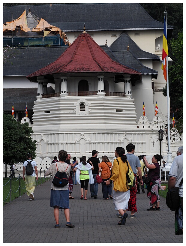 The Temple of the Tooth