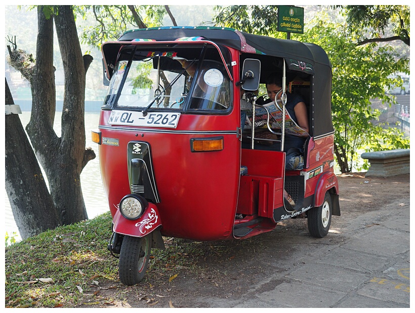 Three-Wheeler