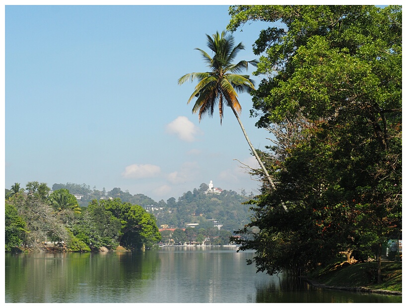 Kandy View