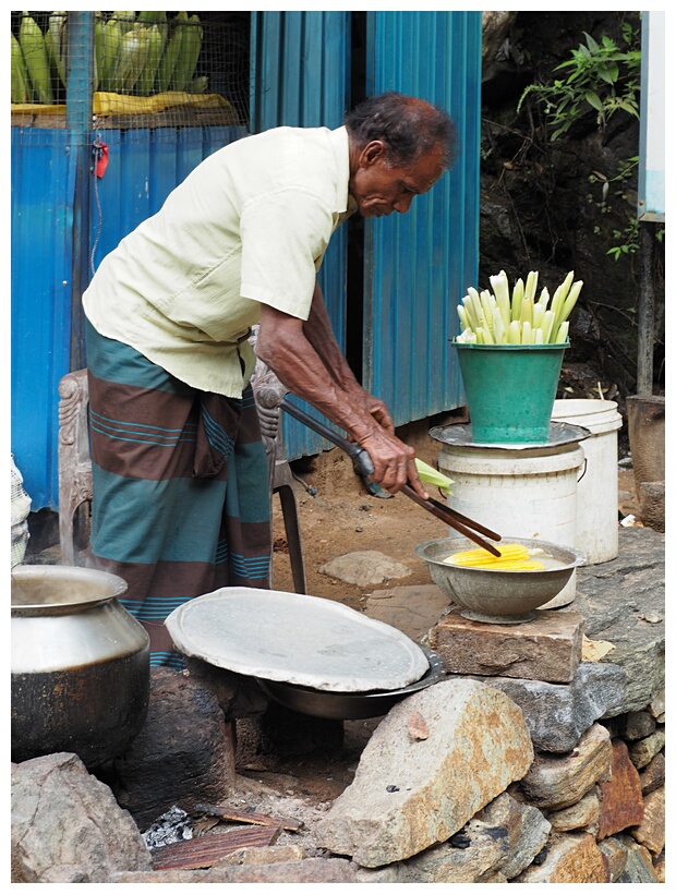 Cooking Corn