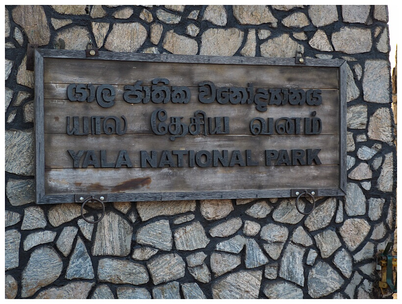 Yala National Park