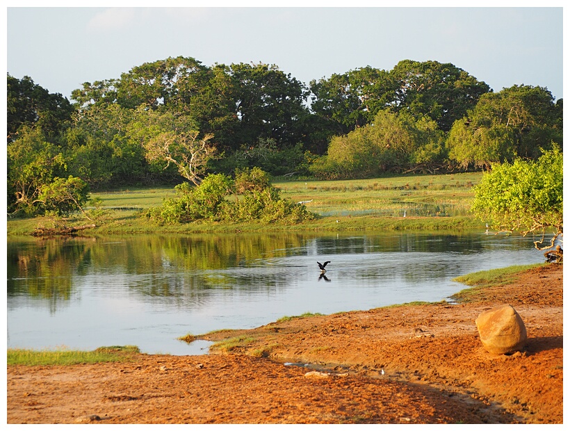 Yala National Park