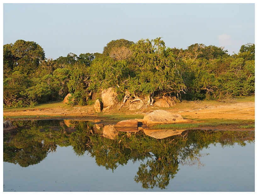 Yala National Park