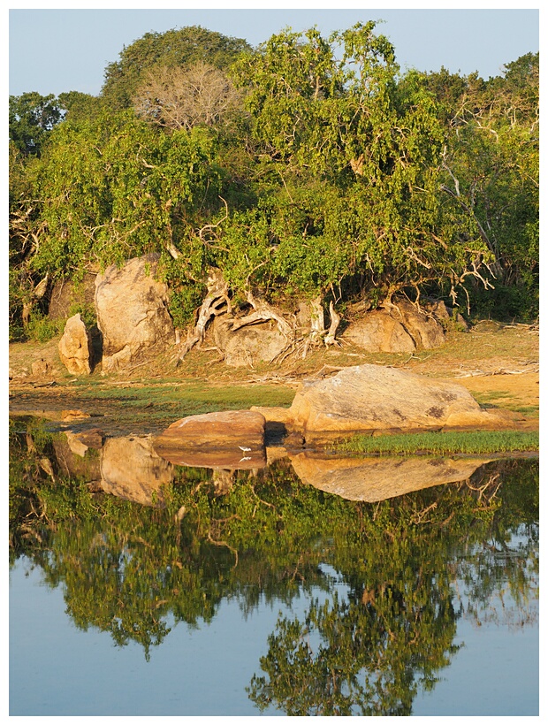 Yala National Park