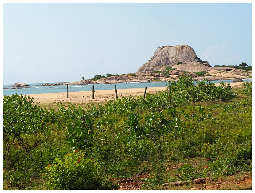 Yala National Park