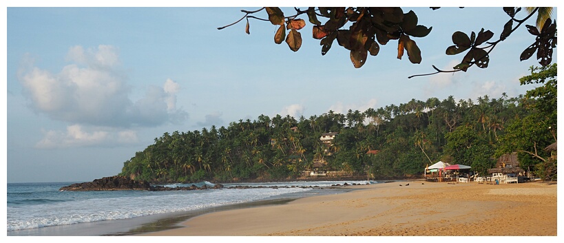 Mirissa Beach