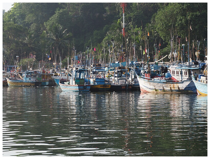 Mirissa Harbour