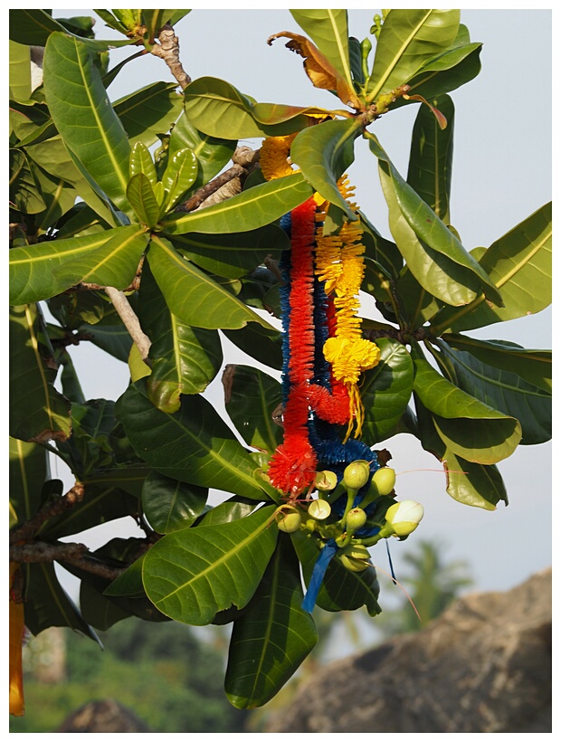 Offerings