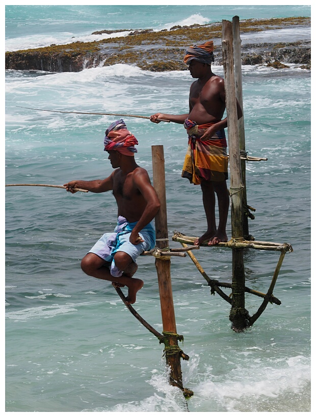 Stilt Fishermen