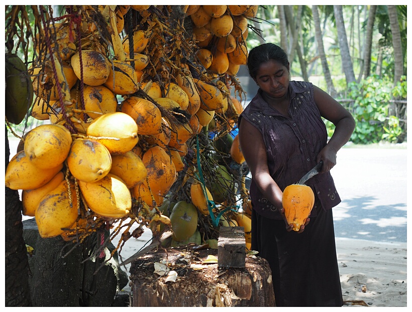 Coconuts