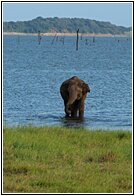 Kaudulla Tank