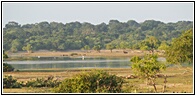 Yala National Park