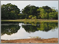 Yala National Park