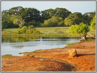 Yala National Park