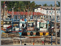 Mirissa Harbour