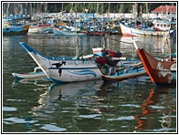 Traditional Boats