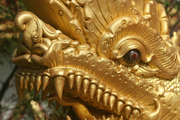 Naga Detail