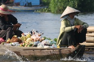 Transporting Fruit