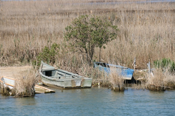 Barcas de Pesca