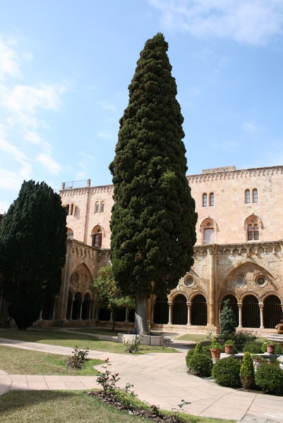 Claustro de la Catedral