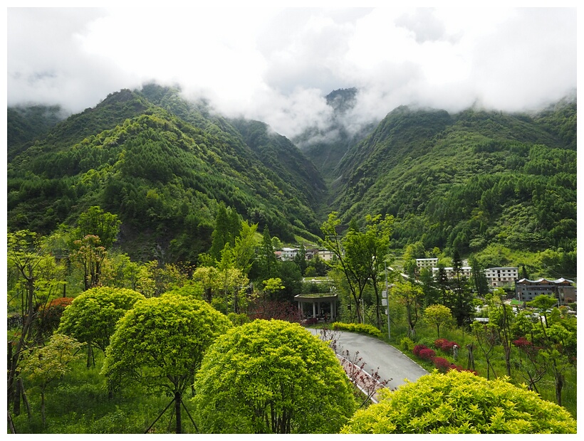 Wolong Panda Research Center