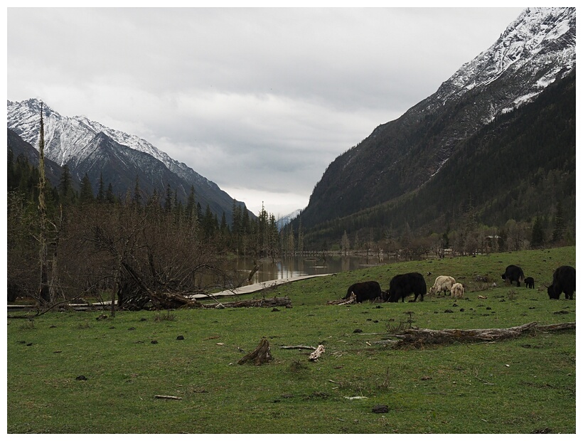 Shuangqiao Valley