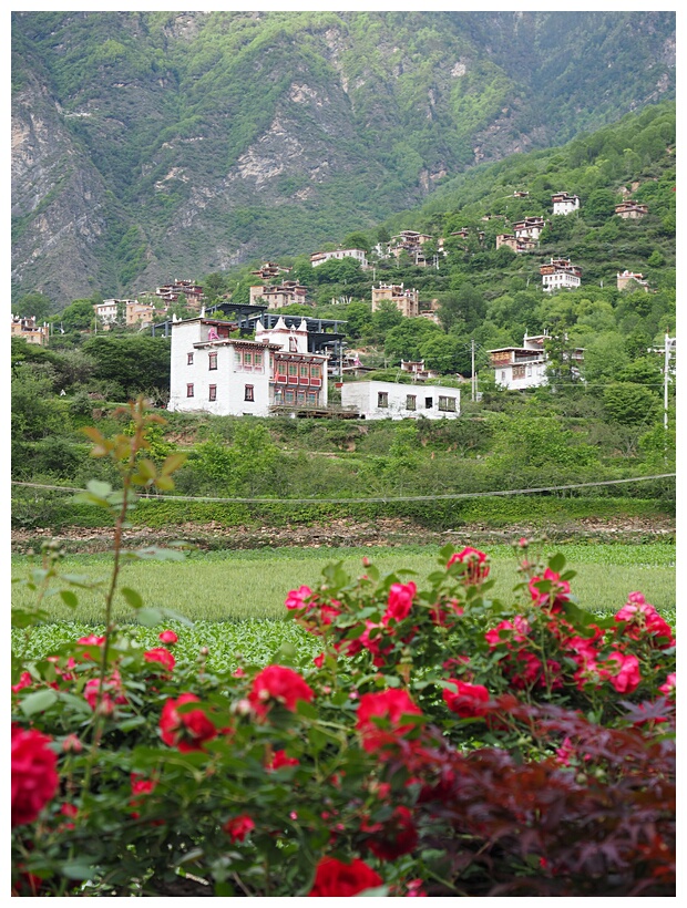 Zhonglu Village