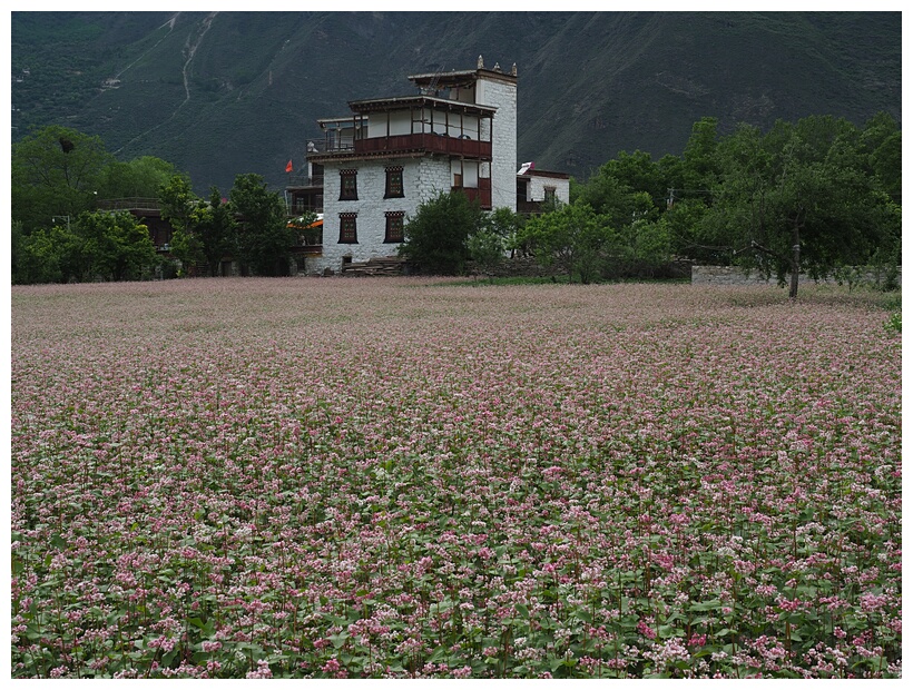 Zhonglu Village