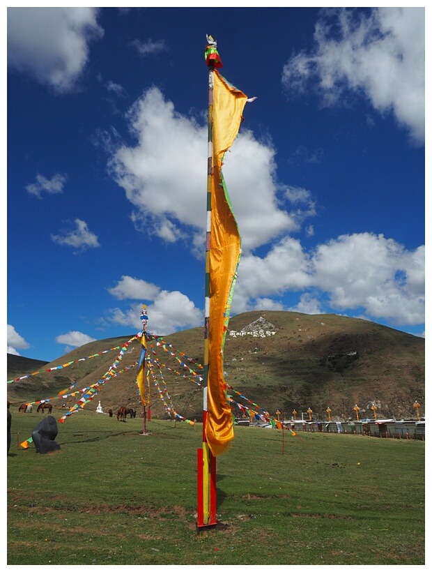 Tagong Grasslands