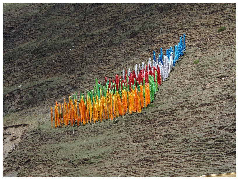 Prayer Flags