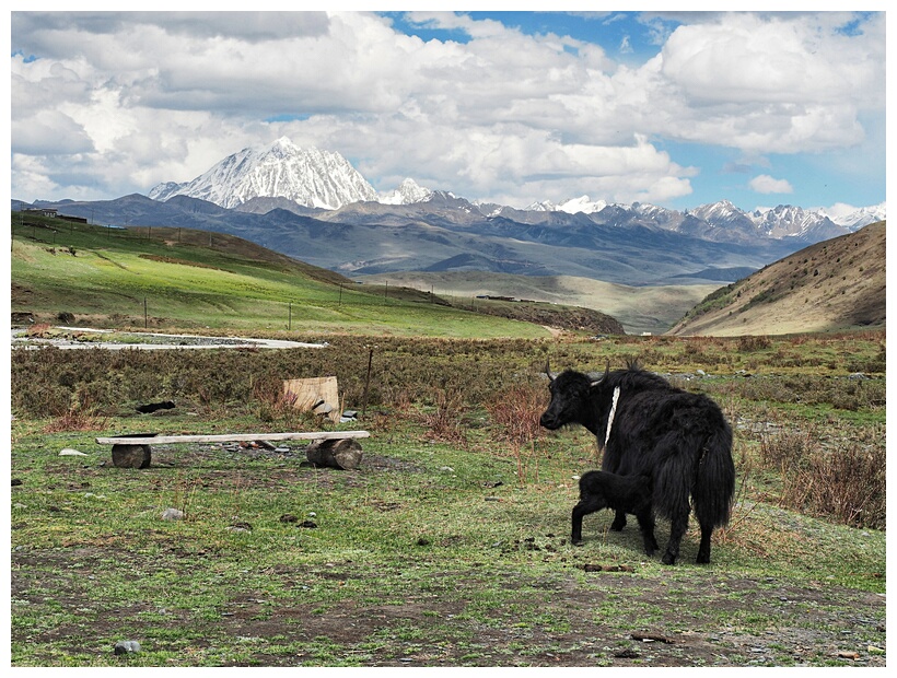 Tagong Grasslands