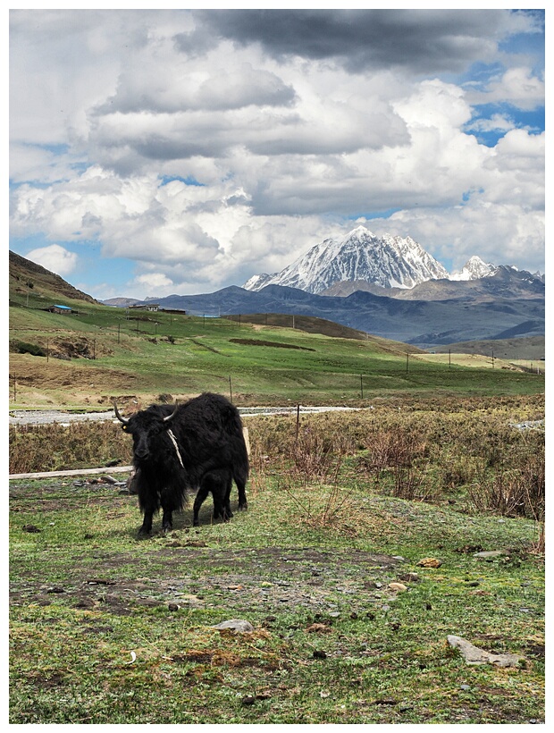 Tagong Grasslands