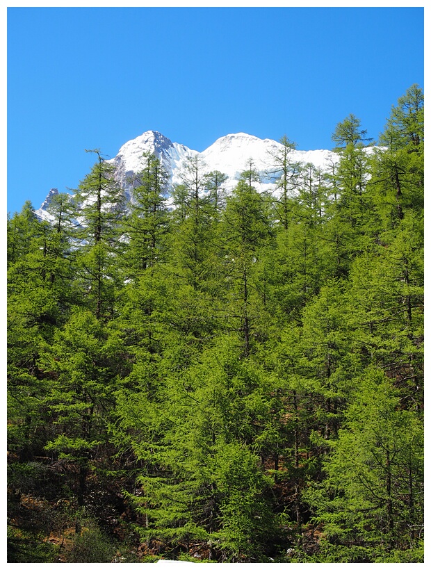 Yading Natural Reserve