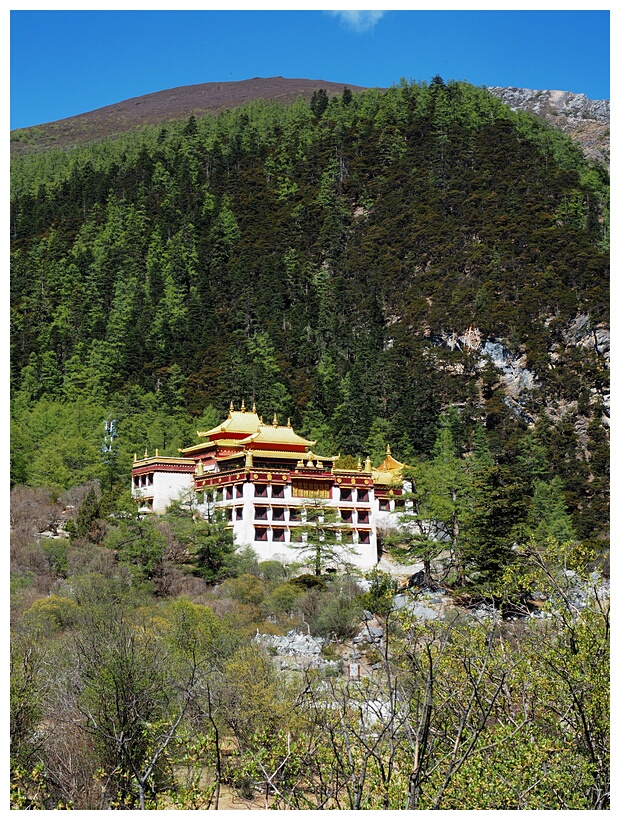 Chong Gu Temple