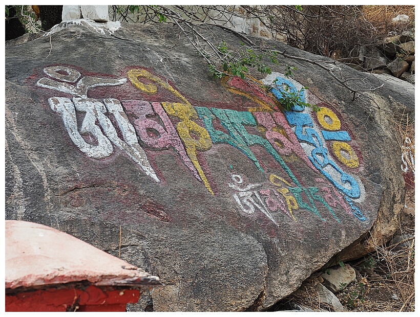 Drepung Monastery