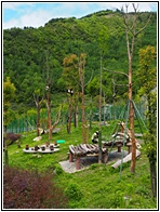 Wolong Panda Research Center