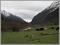 Shuangqiao Valley