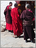 Lama Monks