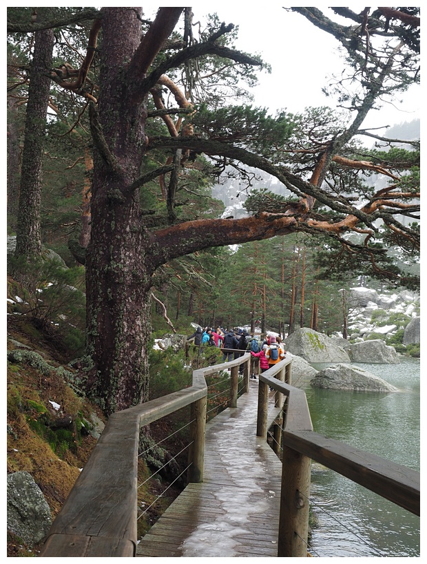 Laguna Negra