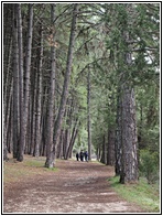 Caon del Ro Lobos