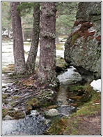 Laguna Negra