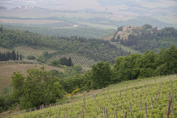 Ruta del Chianti