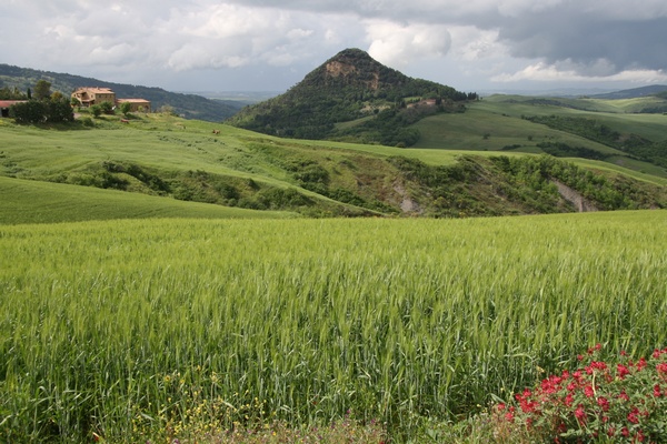 Colinas Toscanas