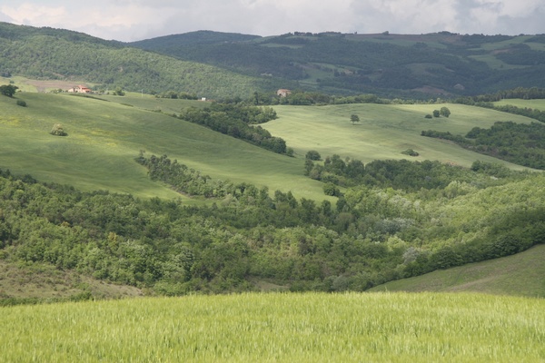 Vistas desde Volterra