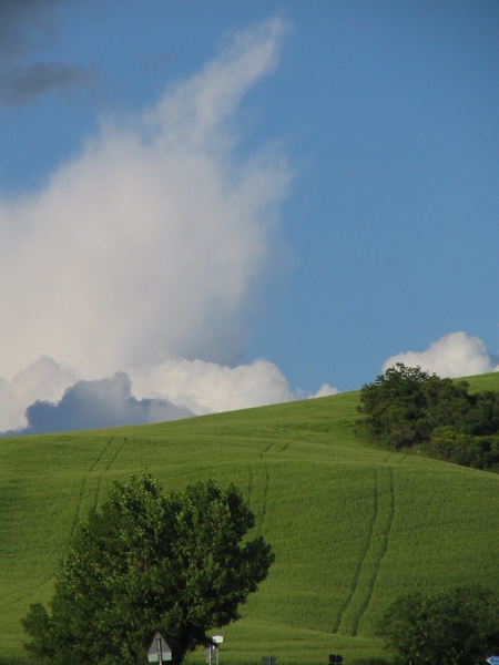 Verde y Azul