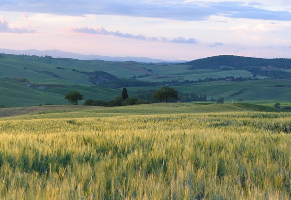 Campos de Labranza